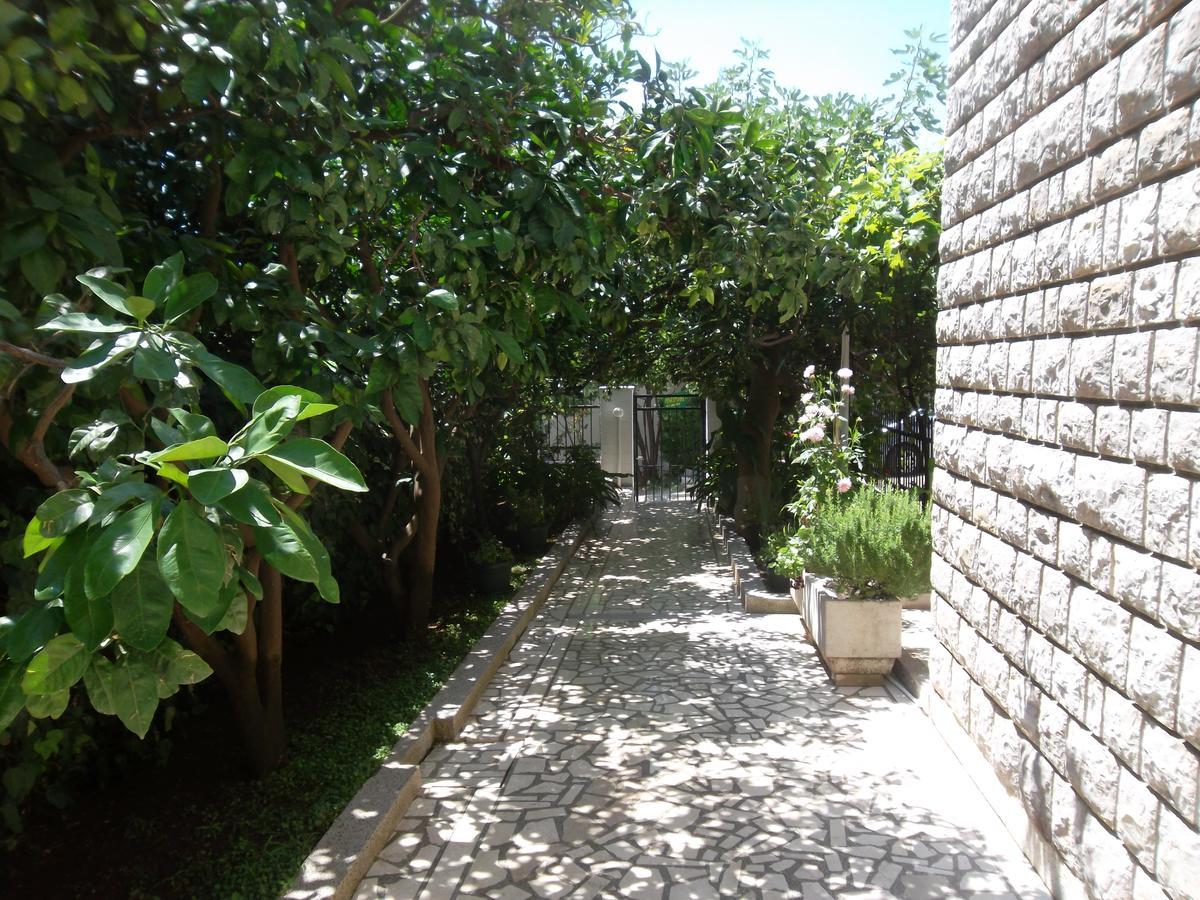 Guest House 4M Petrovac na moru Exterior foto